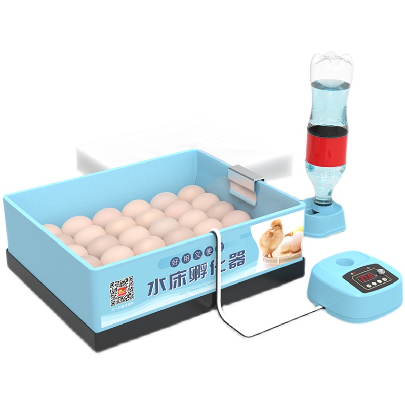 Weiqian 물 침대 인큐베이터 소형 가정용 미니 완전 자동 스마트 버드 계란 루틴 치킨 상자 부화기